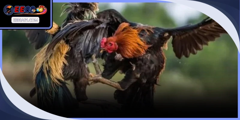 Quản lý dòng tiền thông minh giúp giữ vững tâm lý ổn định khi chọi kê đòn
