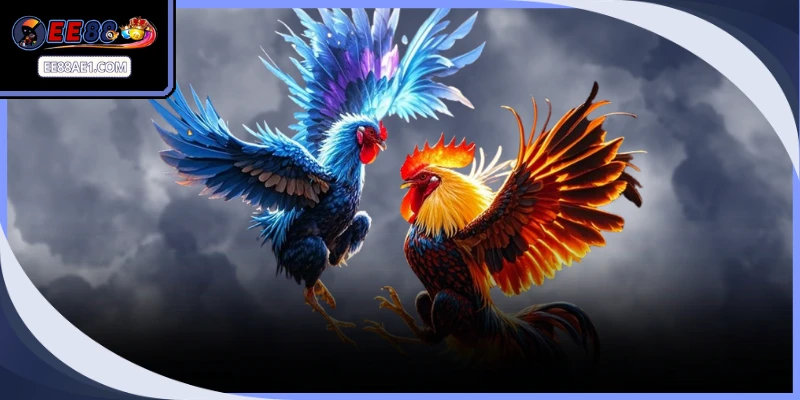 Bảng cửa cược rõ ràng hỗ trợ cược thủ chọn lựa kèo đấu phù hợp tài chính.
